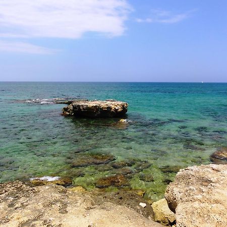 B&B Poggio Delle Ginestre Rutigliano Dış mekan fotoğraf