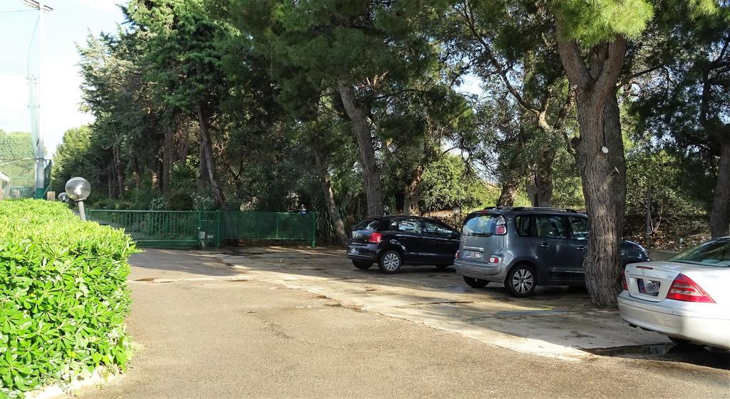 B&B Poggio Delle Ginestre Rutigliano Dış mekan fotoğraf