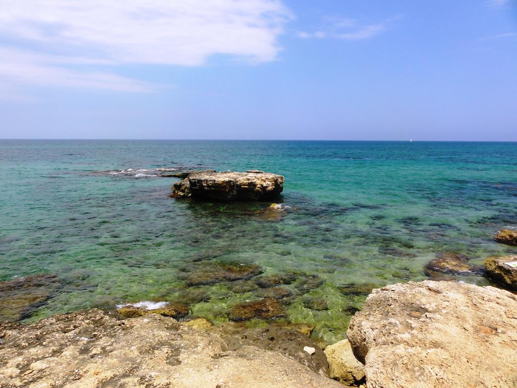 B&B Poggio Delle Ginestre Rutigliano Dış mekan fotoğraf