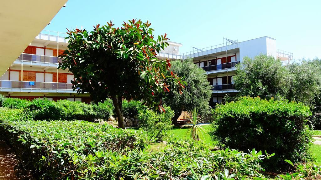 B&B Poggio Delle Ginestre Rutigliano Dış mekan fotoğraf