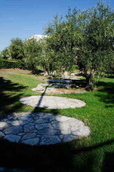 B&B Poggio Delle Ginestre Rutigliano Dış mekan fotoğraf